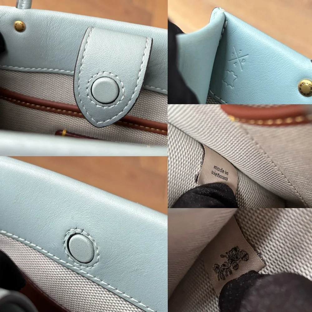 COACH Cashin Carry Tote 20
